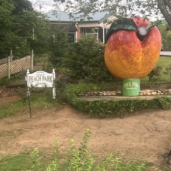 Peach Park - Ice Cream & Frozen Yogurt Near Me - Clanton, Alabama