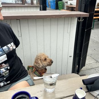 Wilder - Dog friendly patio with hooks for purses - New American Near Me - San Francisco, California Wilder - Dog friendly patio with hooks for purses - New American Near Me - San Francisco, California