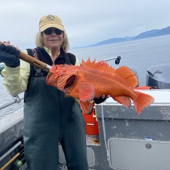 Whalers Cove Lodge - Yellow eye. Judy's Catch - Tours Near Me Whalers Cove Lodge - Yellow eye. Judy's Catch - Tours Near Me