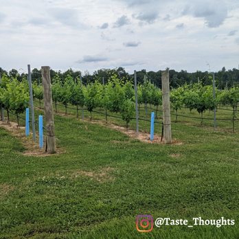 Tunnel Creek Vineyards - The vineyard - Venues & Event Spaces Near Me - Roxboro, North Carolina Tunnel Creek Vineyards - The vineyard - Venues & Event Spaces Near Me - Roxboro, North Carolina
