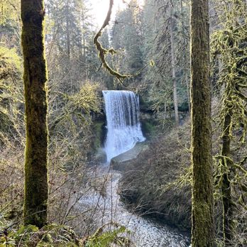 Silver Falls State Park - Silver Falls State Park - Middle North - Hiking Near Me - Sublimity, Oregon