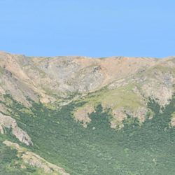 Denali National Park