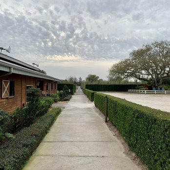 Escape With Horses - Horseback Riding Near Me - Winter Garden, Florida Escape With Horses - Horseback Riding Near Me - Winter Garden, Florida