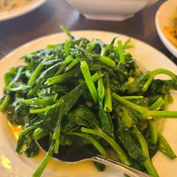 Sichuan Folk - Snow pea shoots - Szechuan Near Me - Plano, Texas Sichuan Folk - Snow pea shoots - Szechuan Near Me - Plano, Texas