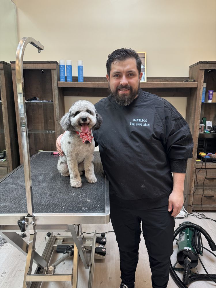 THE DOG MAN SHOP & GROOMING SALON 69 High Ridge Rd, Stamford, Connecticut Pet Groomers