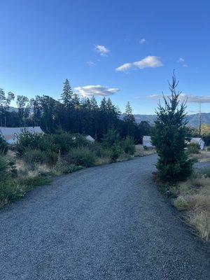 Under Canvas Columbia River Gorge by null