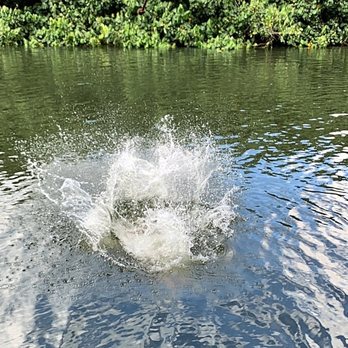 Kipu Ranch Adventures - Tours Near Me - Lihue, Hawaii Kipu Ranch Adventures - Tours Near Me - Lihue, Hawaii