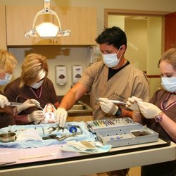Southeast Oral Surgery & Dental Implant Center