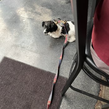 Klüddes Smokehouse + Saloon - We were able to have Lucy on the patio - American Near Me - Yucaipa, California
