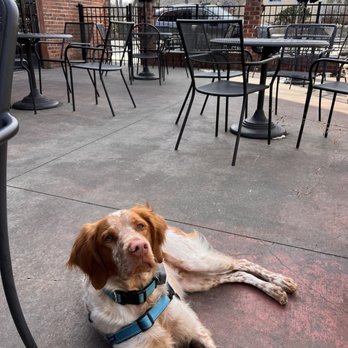 Six Pence Pub - Outdoor patio - American Near Me - Blowing Rock, North Carolina Six Pence Pub - Outdoor patio - American Near Me - Blowing Rock, North Carolina