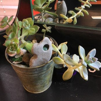 AV Hair & Makeup - Jordan's skillful succulent arrangements. - Hair Stylists Near Me - Pacifica, California
