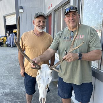 Wilderness Taxidermy - Bull elk euro skull mount. - Taxidermy Near Me - Fremont, California Wilderness Taxidermy - Bull elk euro skull mount. - Taxidermy Near Me - Fremont, California