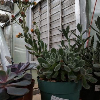 McCue Garden Center - Nurseries & Gardening Near Me - Woburn, Massachusetts