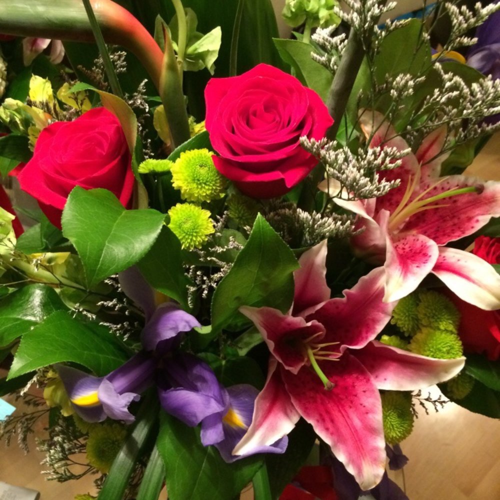 My Bella Flower - re delivered flowers (I posted a previous photo of flowers day of with flowers dead).. this bouquet much better. - Florists Near Me - Los Angeles, California My Bella Flower - re delivered flowers (I posted a previous photo of flowers day of with flowers dead).. this bouquet much better. - Florists Near Me - Los Angeles, California