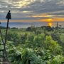 Photo of Heavenly Hawaiian Farms