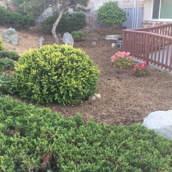 Sal's Landscaping - Sheet Mulch, front yard - Landscaping Near Me - Seaside, California Sal's Landscaping - Sheet Mulch, front yard - Landscaping Near Me - Seaside, California