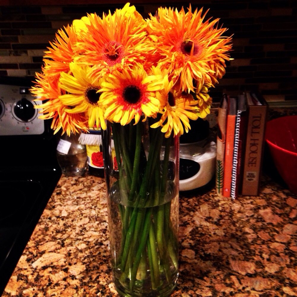 Trader Joe's - Always get my flowers from TJ. And they last long! - Grocery Near Me - Miami, Florida Trader Joe's - Always get my flowers from TJ. And they last long! - Grocery Near Me - Miami, Florida