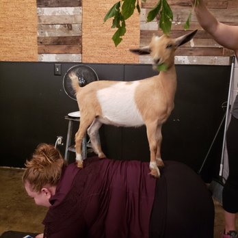 Shenanigoats Community Services - Such a great experience! - Yoga Near Me - Madison, Tennessee