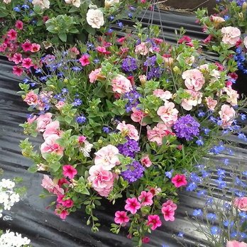 Treehouse Nursery & Landscape - Gardeners Near Me - Rexburg, Idaho Treehouse Nursery & Landscape - Gardeners Near Me - Rexburg, Idaho