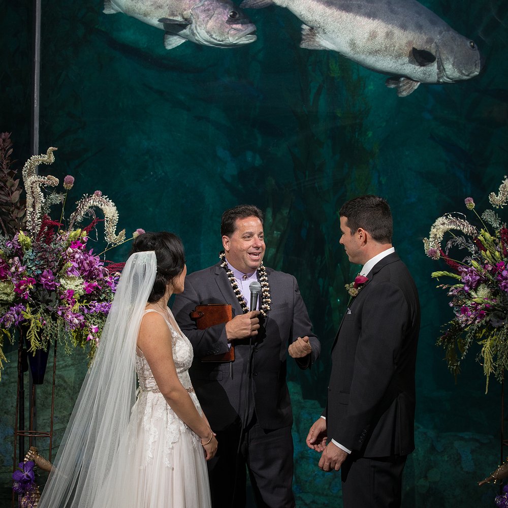 Klink Events - Photography: https://www.oryanempire.com/ Officiant: https://www.greatofficiants.com/ Florist: https://www.walteriaflowershop.com/ - Wedding Planning Near Me Klink Events - Photography: https://www.oryanempire.com/ Officiant: https://www.greatofficiants.com/ Florist: https://www.walteriaflowershop.com/ - Wedding Planning Near Me