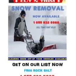 Emergency Cut N Trim - Snow Removal