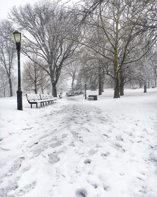 Owl's Head Park by null
