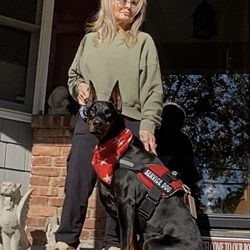 KImbertal Kennels - My KIMBERTAL pup has become my personal mobility trained service dog.