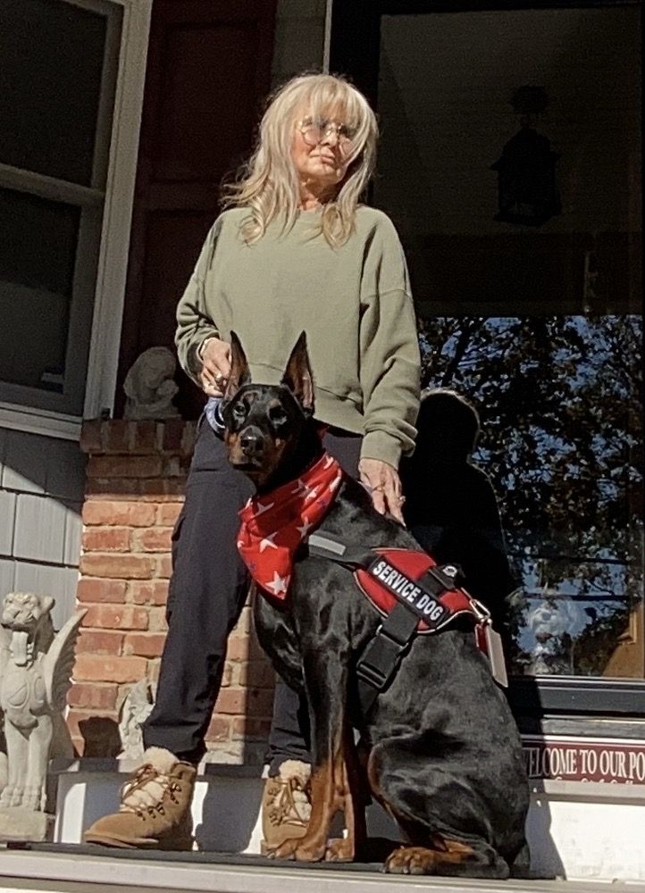 KIMBERTAL KENNELS - Updated March 2026 - 24 Reviews - 151 Ford Rd ...