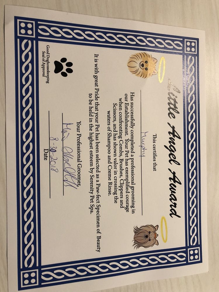 SERENITY PET SPA Updated August 2024 110 Kellogg Ave, Ames, Iowa Pet Groomers Phone