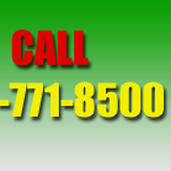 Davis Tree Care - Storm Damage - Landscaping Near Me - Forest Park, Illinois