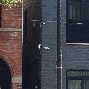 Vision CCTV Solutions - Security Systems Near Me - Chicago, Illinois Vision CCTV Solutions - Security Systems Near Me - Chicago, Illinois