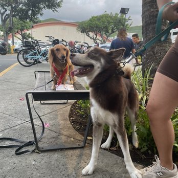 Kailua Town Center - Shopping Centers Near Me - Kailua, Hawaii