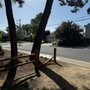 Photo of Timberline Tree Service, Inc