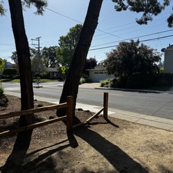 Timberline Tree Service, Inc