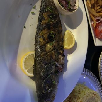 Meltemi - Branzino - Mediterranean Near Me - Ridgewood, New Jersey