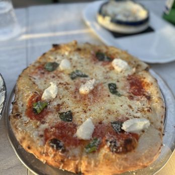 Trattoria Sofia - Italian Near Me - Houston, Texas Trattoria Sofia - Italian Near Me - Houston, Texas