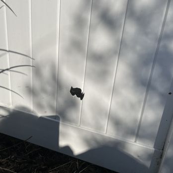 Oakridge Landscape - the shadow of a bat on a fence - Landscaping Near Me - Valenica, California