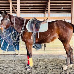 Battlefield Park Polo Club & Equestrian Center