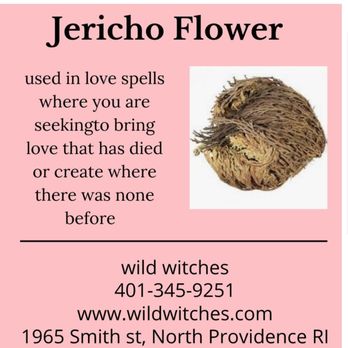 Wild Witches - Spiritual Shop Near Me - North Providence, Rhode Island
