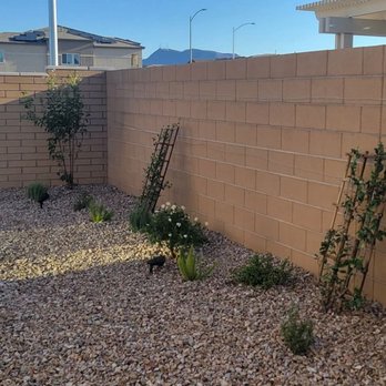 Las Vegas Backyards - Crate Myrtle, roses, foxtail, and so much more! - Landscaping Near Me - Las Vegas, Nevada