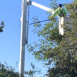 a man in a bucket lift