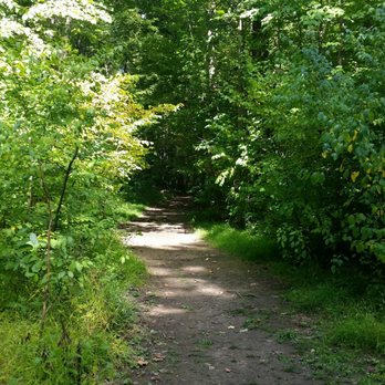 Bradley Woods Reservation - Parks Near Me - Westlake, Ohio
