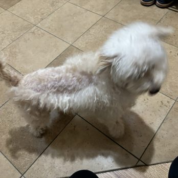 Puppy Salon - Pet Groomers Near Me - Whittier, California Puppy Salon - Pet Groomers Near Me - Whittier, California