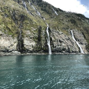 Major Marine Tours - Tours Near Me - Anchorage, Alaska Major Marine Tours - Tours Near Me - Anchorage, Alaska