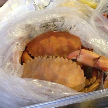 Quality Seafood - Seafood Markets Near Me - Redondo Beach, California Quality Seafood - Seafood Markets Near Me - Redondo Beach, California