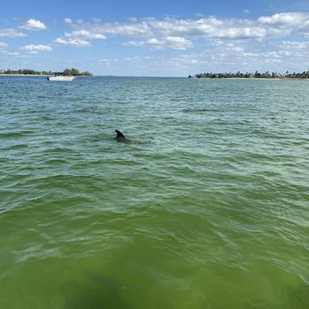 New Wave Eco Charters - Boat Charters Near Me - Captiva, Florida