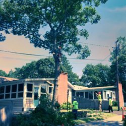 Trees R Us New England