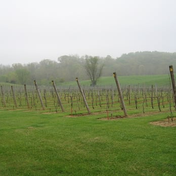 Three Fox Vineyards & Brewery - Wineries Near Me - Delaplane, Virginia