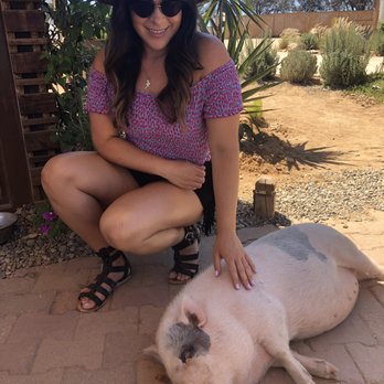 Valle Tours - Hanging with Olivia in Valle De Guadalupe! - Wine Tours Near Me Valle Tours - Hanging with Olivia in Valle De Guadalupe! - Wine Tours Near Me