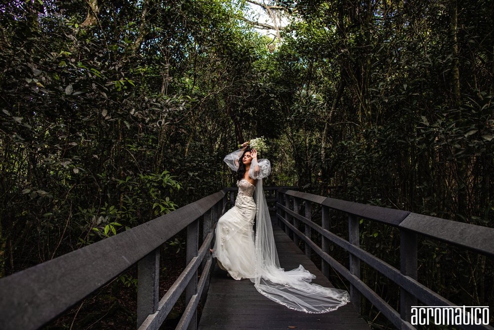 Fern Forest Nature Center Image